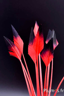 Schwan Pfeilform - 28-33 cm - rot-schwarz